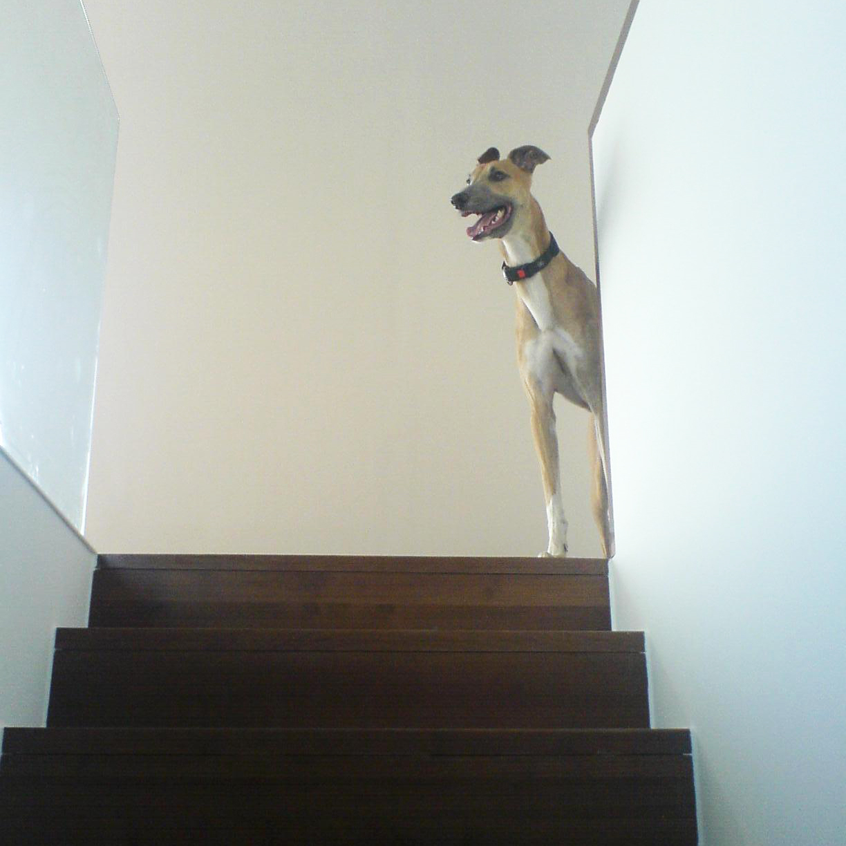 Koelbl Radojkovic 021